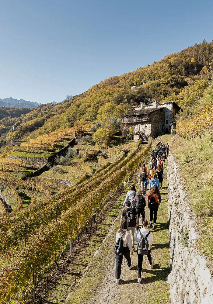 Wine trekking
